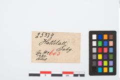 Etikett zu Bronzekahnfibel (NHMW-PRAE-025534)